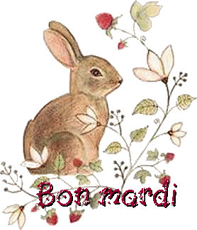 Gif animé Bon mardi lapin